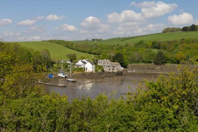 IMG_4281.jpg River Lyhner, Tidal Mill & Mill Pond from Forder lake - Saltash -  A Santillo 2013