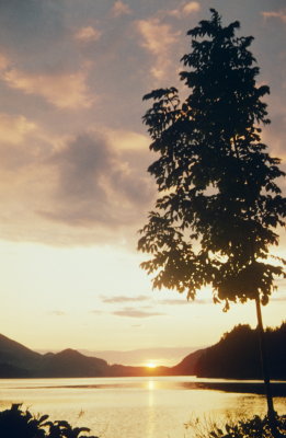 1964 Sonnenuntergang 2.jpg