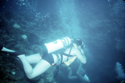 Suba Diving in Jamaica
