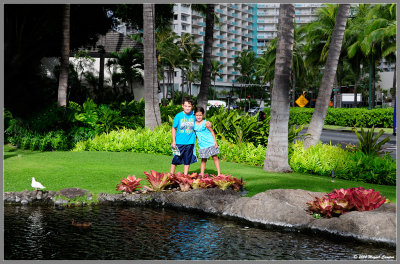 Hawaiian Hilton Village