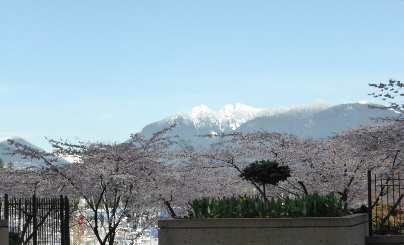 Spring 2