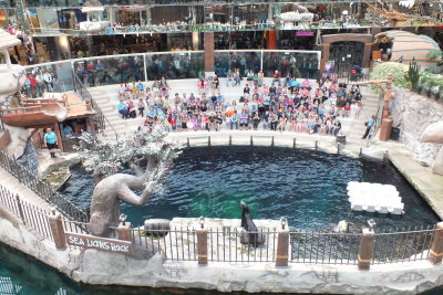 Sea Lion show, WEM