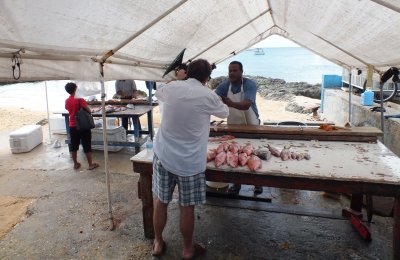 Local fish stands