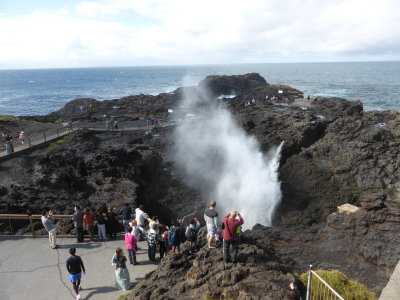 Blowhole