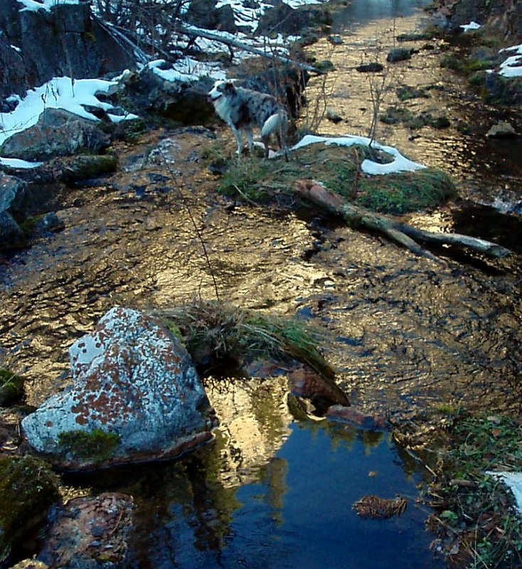 Iron Creek