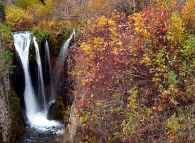 Black Hills Fall