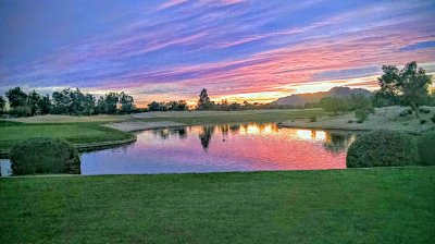 Lone Tree Morning