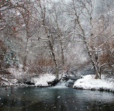 Upper Roughlock Winter