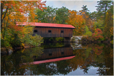 Fall Foliage  2012