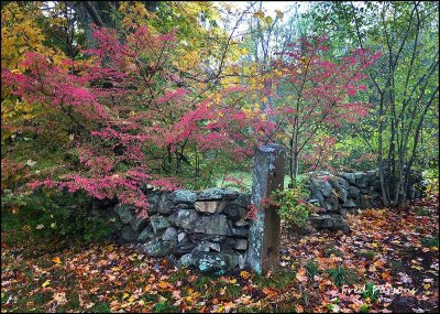 IMG_1489 Post and Stonewall