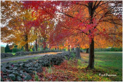 _DSC5761  Stonewall Road