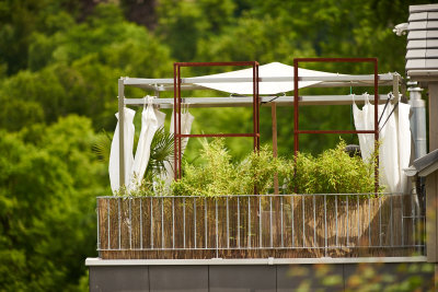DSC09260_200L1.8.jpg
