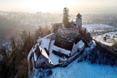Schloss Birseck Winter