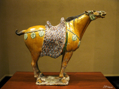 Chinese horse.