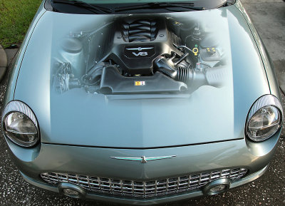 Tbird