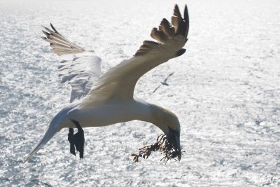 Helgoland 2013