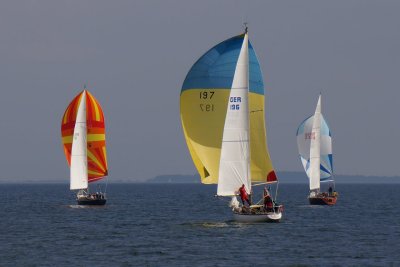Flensb-Sønderb.-2014-1 073.jpg