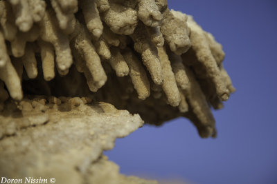 IMG_9456 - Salt stalactites