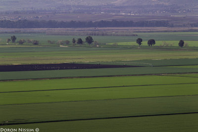 BM4J6385 - Hula Valley 