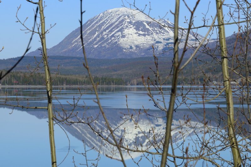 Reflection