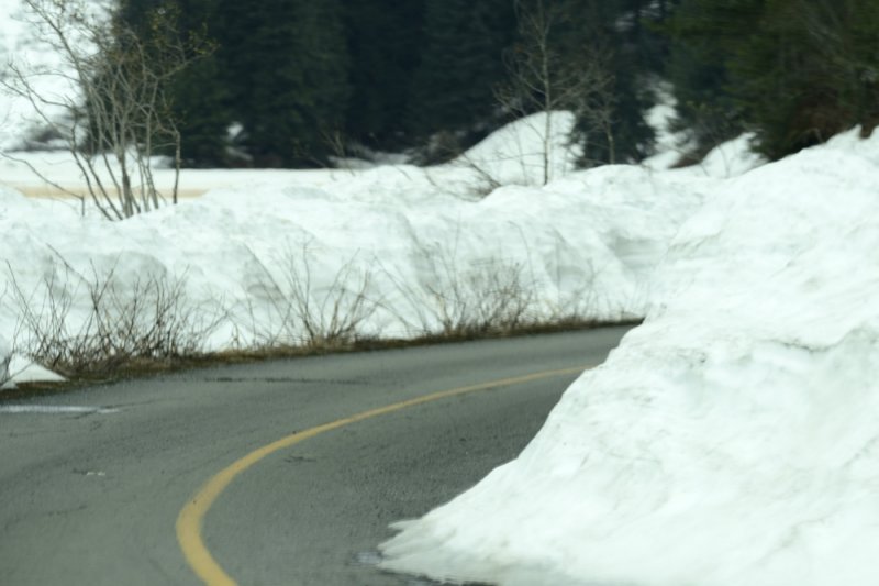 a road in Valdez