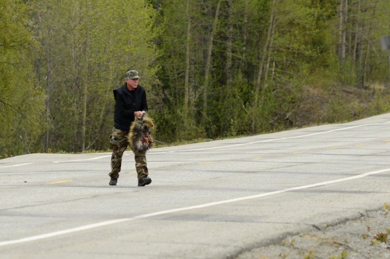 Cleaning up roadkill