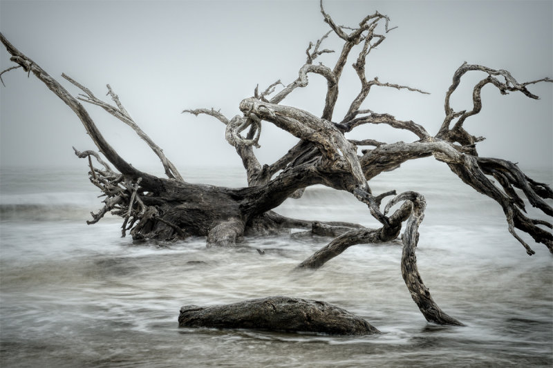 Mother Ocean takes her toll