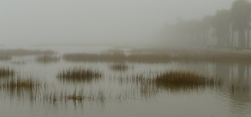 Foggy Morning