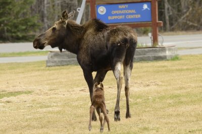 Mother and baby