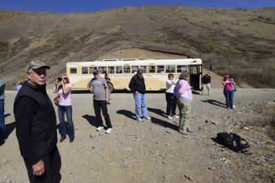 Denali tour bus