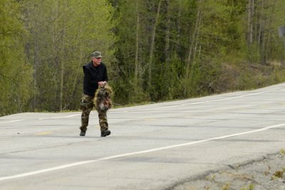 Cleaning up roadkill