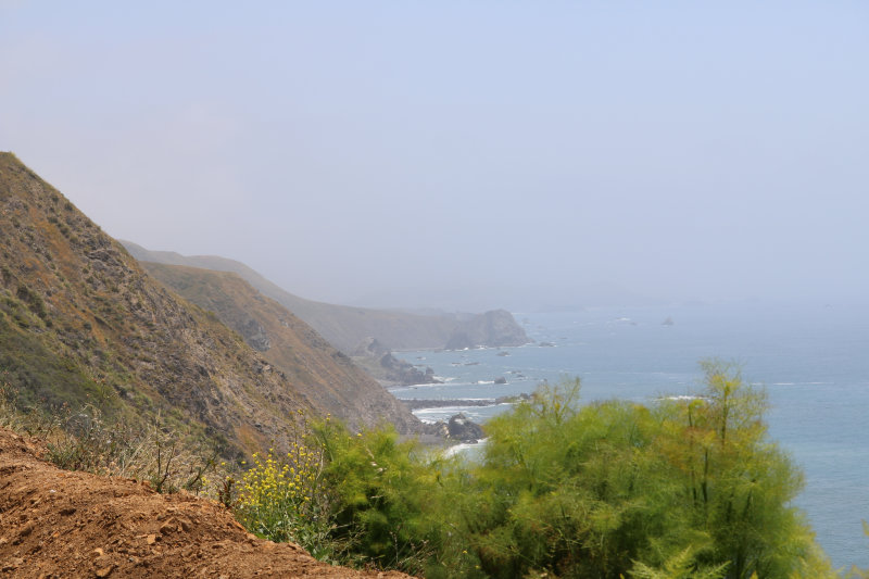 IMG_1764.jpg