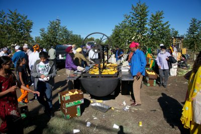IMG_3146.jpg