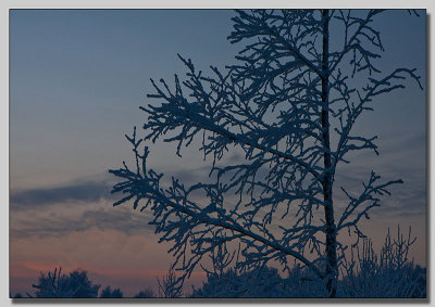 Frost & Snow