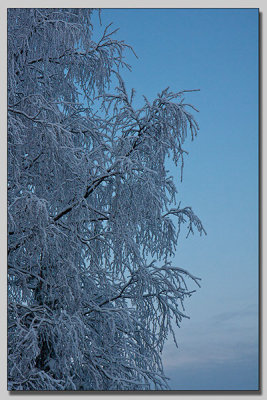 Frost & Snow