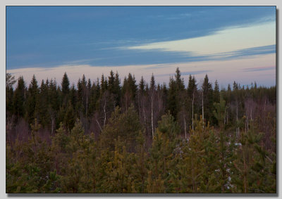 North sky