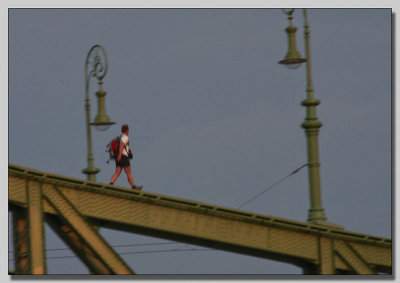 Szabadsg/Liberty bridge