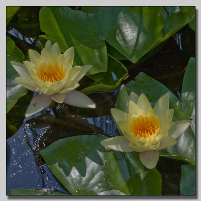 From Margaret Park Island
