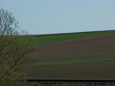 g9/00/739000/3/77220622.DnImTkNa.jpg