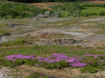 The geothermal area at Geysir II