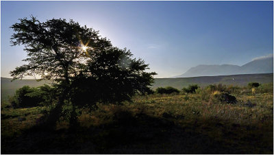 Bontebok National Park