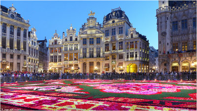 The Flower Carpet 2014