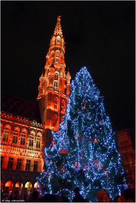 The Town Hall at the Grand Place