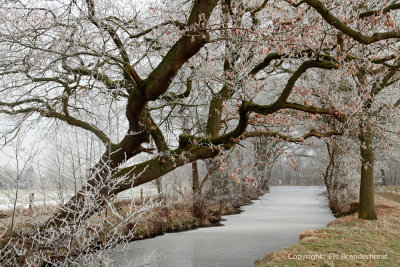 Brook, winter - Beek, rijp