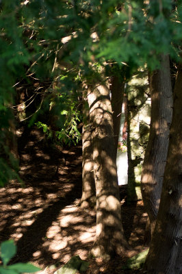 Millcroft Inn - The Bride