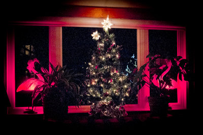 Christmas Flamingos!