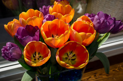 Posies