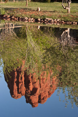 Reflected