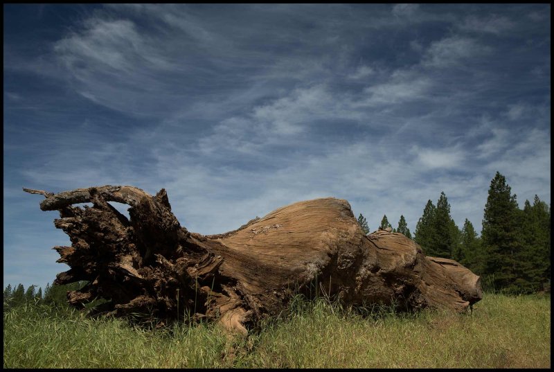 Twain Harte, California