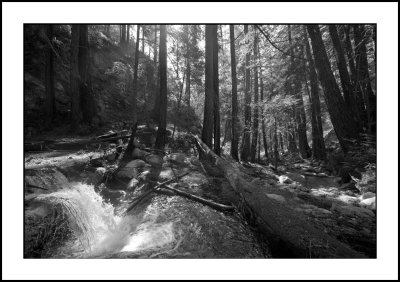 Big Sur B&W